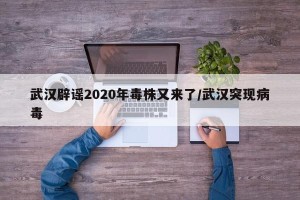 武汉辟谣2020年毒株又来了/武汉突现病毒