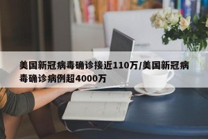 美国新冠病毒确诊接近110万/美国新冠病毒确诊病例超4000万